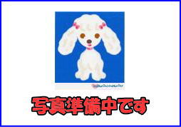 フレグランス城山B 101
