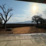 1階リビングの花崗岩石張りのテラス