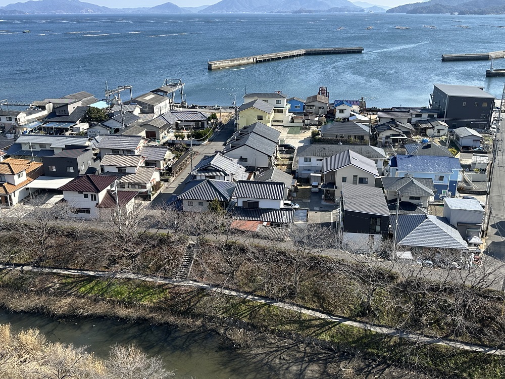 春には桜並木が楽しめます♪