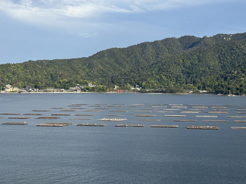 廿日市市宮島口西１丁目　ロイヤルビュー一茶苑1206