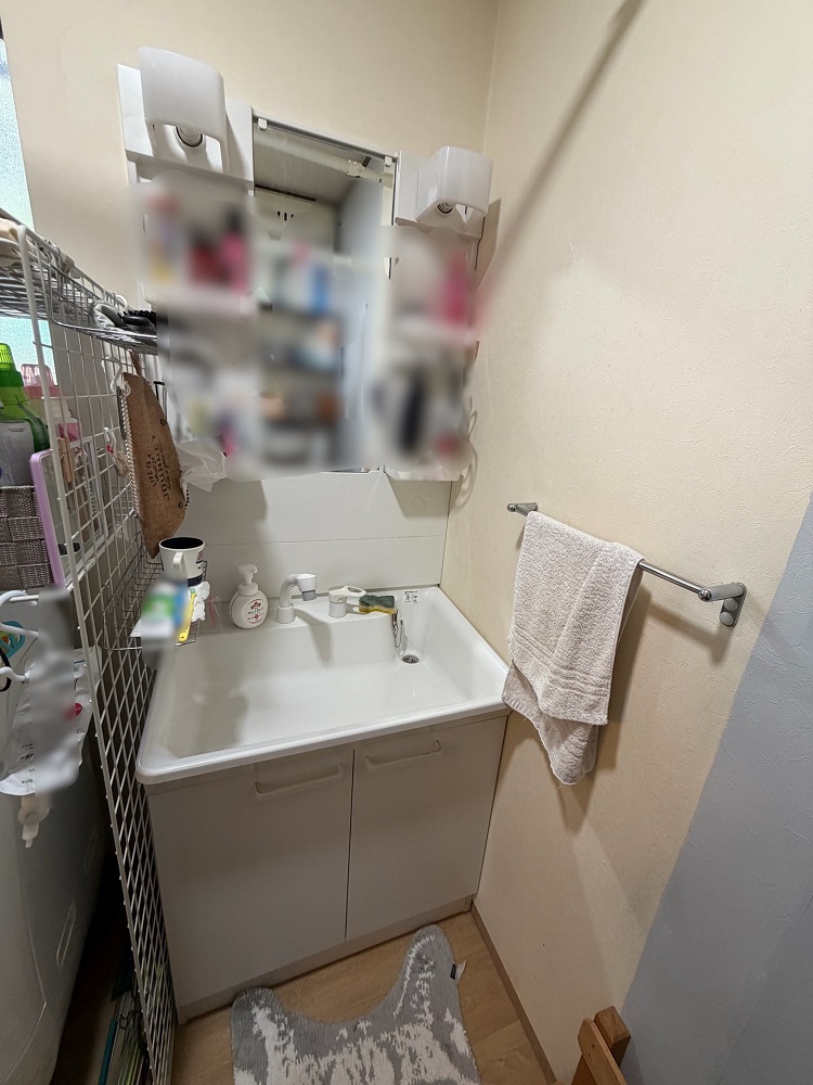 シャワー付洗面化粧台